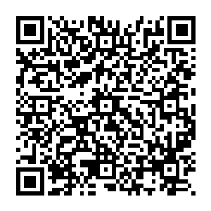 之前德甲的升班马霍芬海姆不就是在他们升上德甲联赛的第一个赛季前半程表现出色吗二维码生成