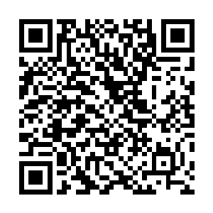 之前我和沙罗一起刚刚跟着团长参加了另外一次副本任务二维码生成