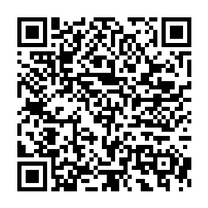 之前族内的长辈们也都担心会出现你现在这样聚集所有血侍的情况二维码生成