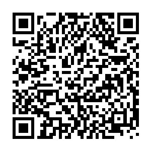 之前毫无胜算的霍涟如则毫无悬念的接替了辞职的甄敬才升任副厂长二维码生成