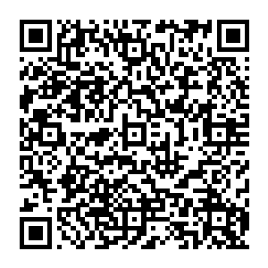之前的一击　实际上只是他条件反射性的抵抗罢了　若是全力一击的话　只怕这铁链男子会更惨二维码生成
