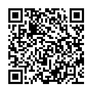 之前的时候他们两个在噩梦森林出来的时候也遇到了好几次争斗二维码生成