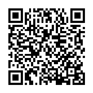 之前的时候他可是根本就没有见过杨戬使用这强大的法宝二维码生成