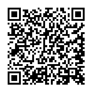 之前的时候在蛮州城的时候杨戬见识到的拍卖会上出现的通天丹就是这种丹药二维码生成