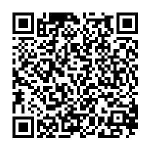 之前的时候在见识到噩梦森林的问道宗的时候他心中就对问道宗十分的震惊二维码生成