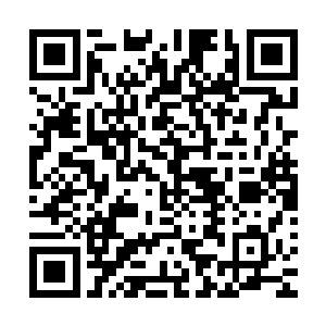 之前的时候杨戬对于杨家只派杨戬一个人来还是有些不信任的二维码生成