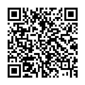 之前的时候杨戬感觉自己的炼丹和炼器手法已经十分的强大了二维码生成