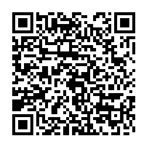之前袭击弟妹的几个深渊魔族使用禁术竟然引来了幻魔魔主的投影二维码生成