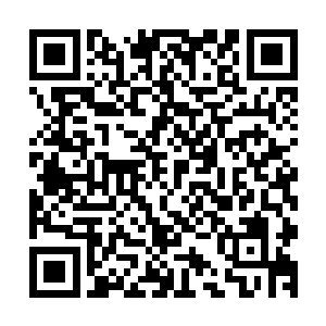 之前许紫烟和土依水之间的战斗一直是用着土系和水系的功法二维码生成