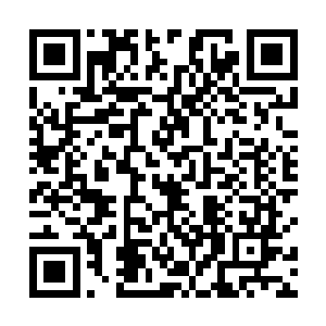 之后我们会根据每个人的技能及表现重新审核薪金额度二维码生成