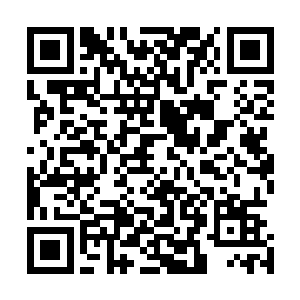 之后竟然就始终无法向卡尔他们四个组织起任何有效的反击二维码生成