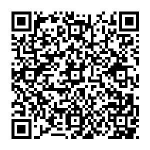 之所以以前的时候从来没有人飞升上来是因为我是从修真界的陨仙之地飞升上来的二维码生成