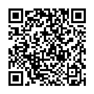 之爱是不同的……她恨不得捧在手心娇宠长大的儿子二维码生成