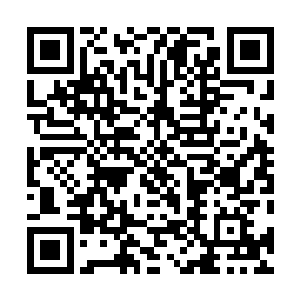 之间则由一条条由藤蔓和树枝编织而成的木桥链接在一起二维码生成