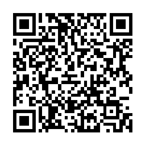 乌云扣住夭华手腕的手顿时恨不得将夭华的手腕硬生生捏碎二维码生成