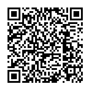 乌溜溜的眼珠子眨也不眨的电脑屏幕上正在播放的她最喜欢的动画片二维码生成