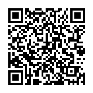 乌玛用自己掌心的温度在雨果的皮肤表层种下一朵一朵火焰二维码生成