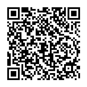 乌龟车下方的反重力符阵和后方的喷气式动力符阵全都绽放出了黯淡的光芒二维码生成