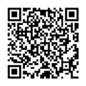 乐极生悲的痛苦无数痛苦如无数条黑色毒液凝聚而成的蟒蛇二维码生成