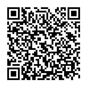 乔老板和约翰老板张着翅膀让大家给他们俩拍了几张照片留念……之后二维码生成