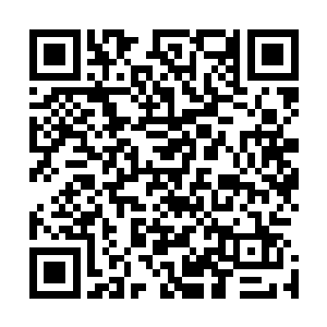 乘着龙皇神殿虚弱和暗皇神殿在摩天之界搅风搅雨的的档口二维码生成