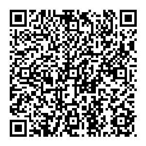 九丝墨绿丝线状气息和一丝红蓝条纹的血丝像灵巧的小蛇一样在结晶里那团棉絮一样的爱之情绪与结晶的空隙间游动二维码生成