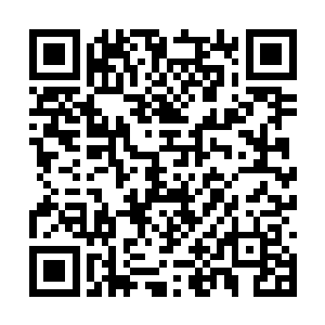 九幽玄骨撞到了另一台盘踞在维修平台上的巨神兵二维码生成