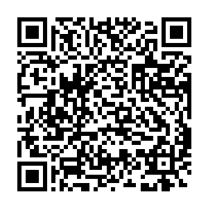 九阳门第九和第十真传弟子带领另外五个真传弟子到处抓他的消息二维码生成