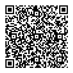 也一定会提到那个刺客在刺杀轩辕无极的时候使用了神御主宰的能力和薛夫子的那一声揭破自己身份的大叫二维码生成