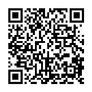 也不仅因为过去一年时间里雨果已经吸引了太多太多记者的仇恨二维码生成