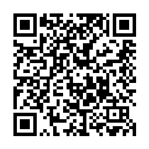 也不介意给小家伙当一棵可以遮风挡雨的大树和保护伞二维码生成