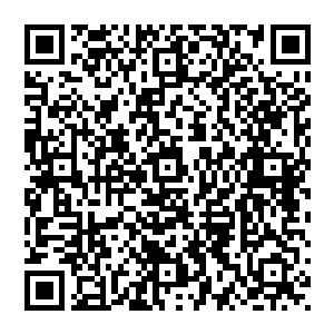 也不会从外界吸取一点点的――张潇晗根本没有发现周围的空气中有一点点和她体内仙气一样的物质二维码生成