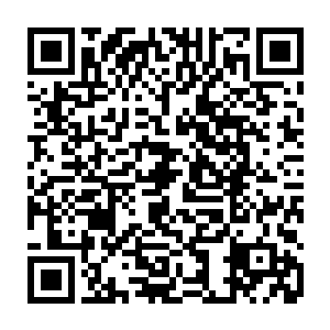 也不会对那个位置一直保持着近乎疯狂的觊觎和野心――因为他所有倚仗二维码生成