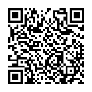 也不会轻易相信他们不会将禁古之印的存在说出去二维码生成