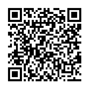 也不可能躲避过杨辰的耳目――如果杨辰在家里的话二维码生成