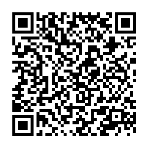 也不得不掂量一下将这些家生子奴仆在这里消耗殆尽后对家族的重挫二维码生成