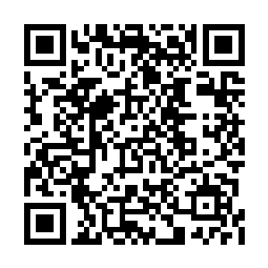 也不怕恶人这里的人……他们嘴里再不舍又如何二维码生成