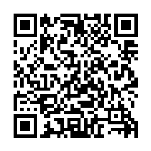 也不怪他……把他推上王子宝座的陆天养在蛮族翻云覆雨二维码生成