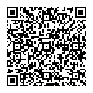 也不想暂时把自己的黑暗撕裂者手套拿出来他当然不会用自己的血肉之躯去和九级高手的攻击硬屏二维码生成