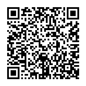 也不敢拍着胸口说自己能够将语文课本的每一篇文章都准确无误地默写下来二维码生成