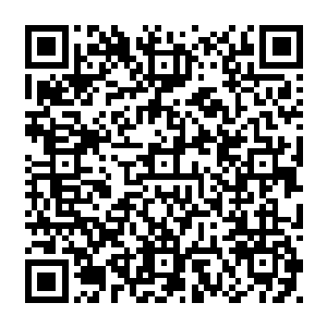 也不由扫视了一眼台下那群仍旧昂着脑袋一副趾高气昂模样没有丝毫悔过表现的60e二维码生成
