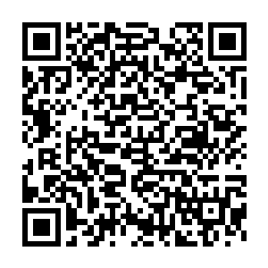 也不知道等回去了之后找不到自己的父母会是一种什么样子的状况二维码生成