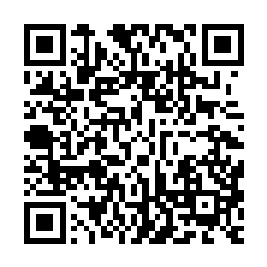 也不胡在这么段的时间之内厉害的可以和自己和阿墨同时对抗呀二维码生成