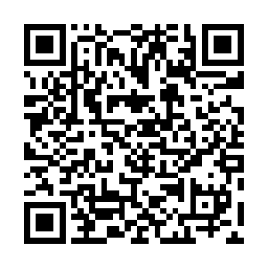 也不能用这把刀过早的将磨刀石磨穿了……这个中的平衡二维码生成