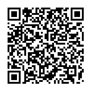 也不能确定就是这么巧就能见到它――而且妮娜是只普通的三花猫二维码生成