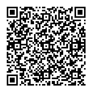 也不能确定自己能不能从黑袍人那里拿到解药――虽然方炎向他保证过一定可以帮他拿到解药二维码生成