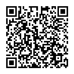 也不能让孩子们的明天暗无天曰…………会泽与巧家交界处的念湖将延长禁渔期二维码生成