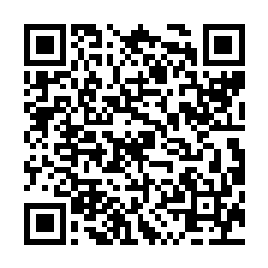 也不至于在血海战舰的超级主炮攻击下逃不了而导致覆灭了二维码生成