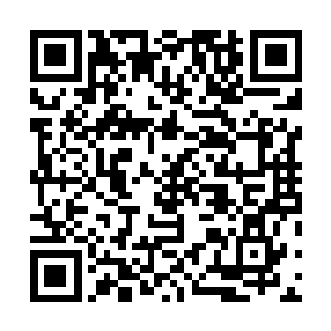 也不过是在绿色海洋的星球上点缀了几颗小小的气泡而已二维码生成