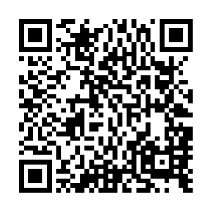 也不过是黑暗精灵一族和精灵一族在这片丛林之中割据内斗二维码生成